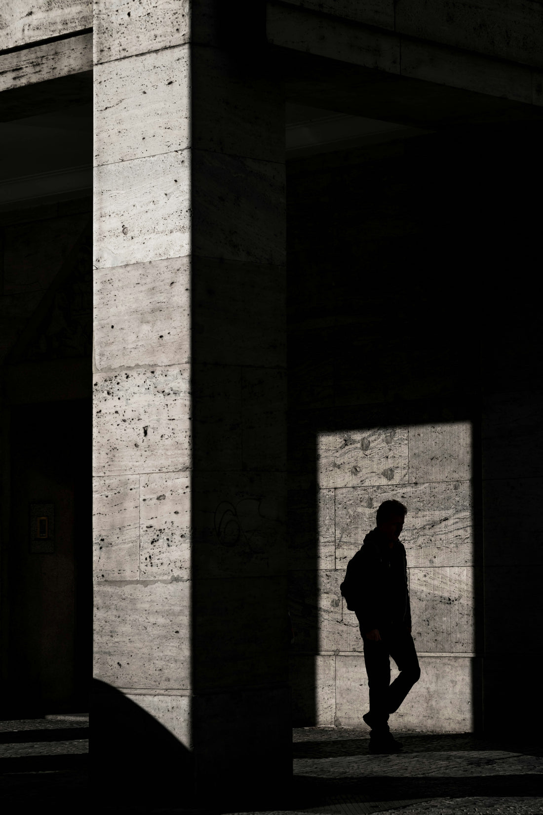 The Shadow at the Edge of the Woods