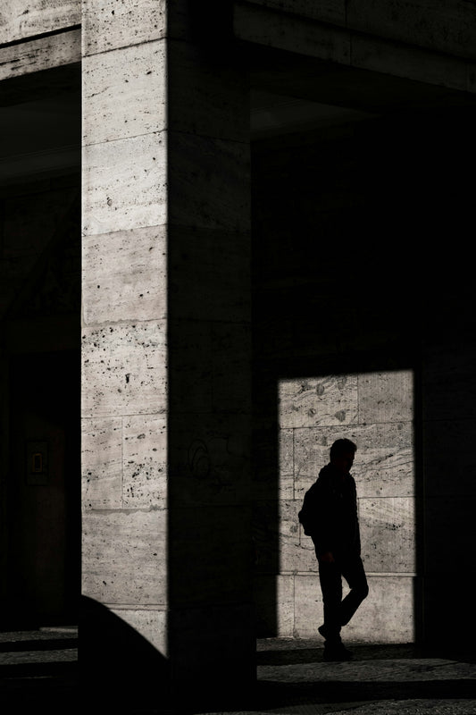 The Shadow at the Edge of the Woods