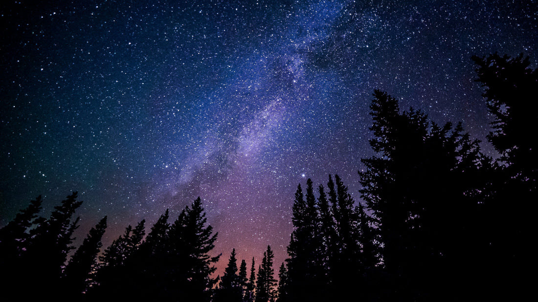 The Stargazers Dream